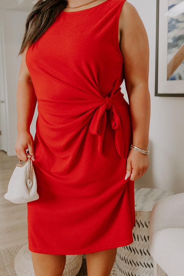 Block Party Chic Front Tie Mini Dress Curves Image 2